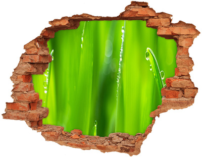 Hole in the wall sticker Green meadow with drops of water