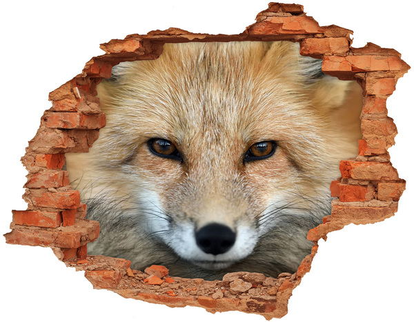 Hole in the wall sticker The Fox in the Hole in the Wall