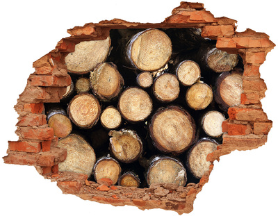 Hole wall sticker Wood in a hole in the wall