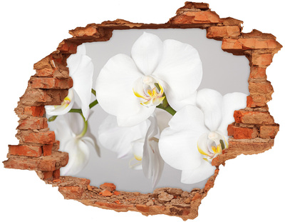 Hole wall sticker Flowers in concrete