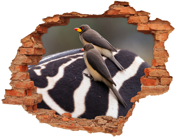 3D wall hole Birds and zebra