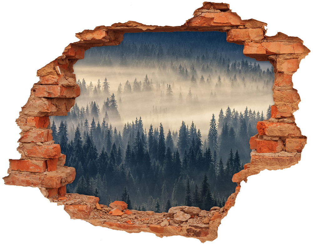 3D wall hole Fog over the forest