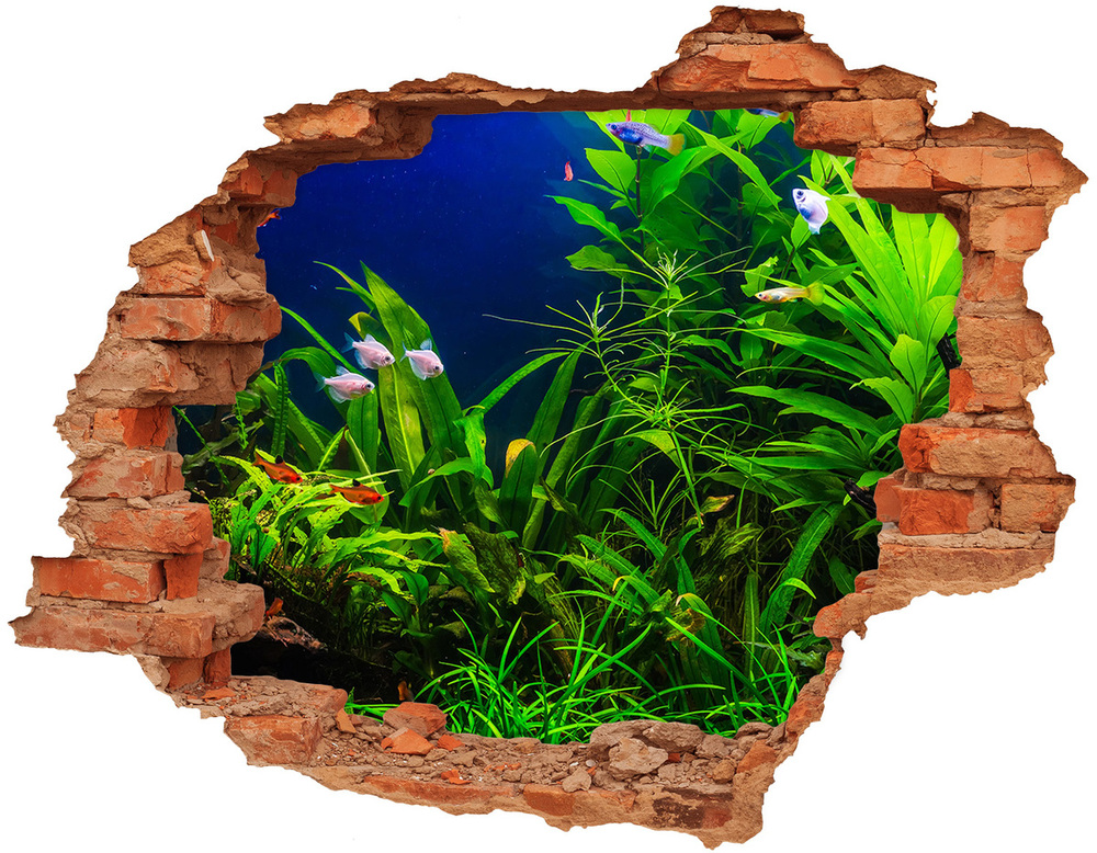 Hole wall sticker Fish in the aquarium