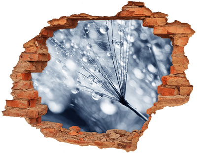 3D wall hole Dew drops on a dandelion