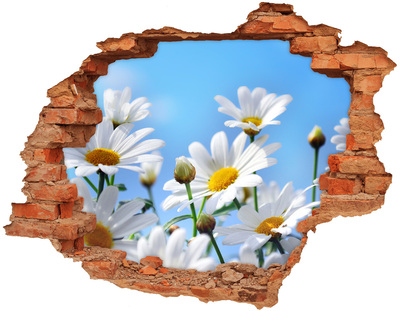 3D wall hole wallpaper Daisy