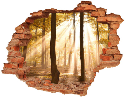 Hole in the wall decal Golden rays in the forest