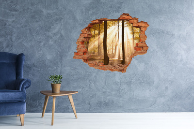 Hole in the wall decal Golden rays in the forest