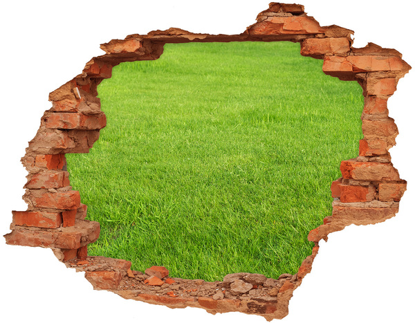 Hole in the wall sticker green grass