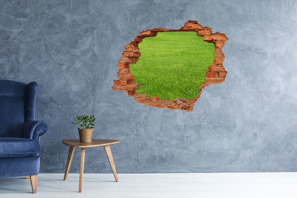 Hole in the wall sticker Green meadow through a hole in the wall