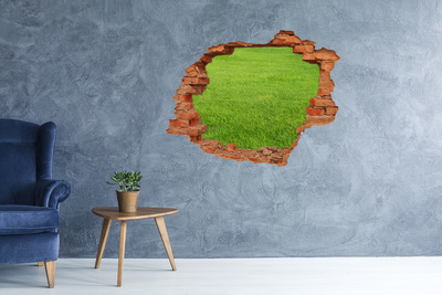 Hole in the wall sticker Green meadow through a hole in the wall