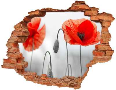 Hole in the wall sticker Flowers in a hole in the wall