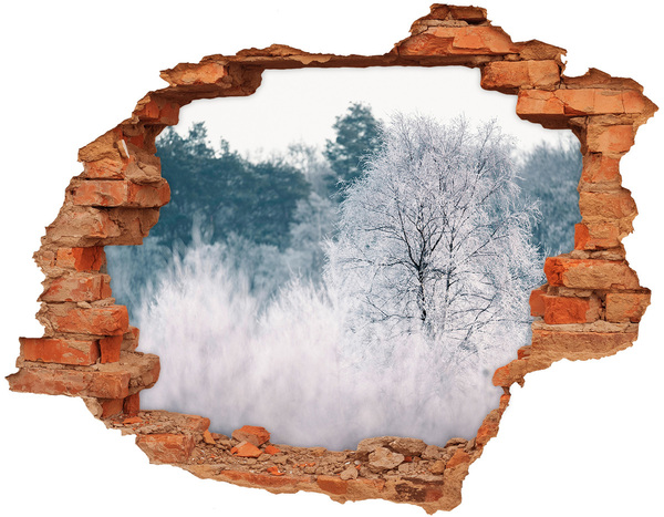 3D wall hole wallpaper Winter landscape behind the hole in the wall