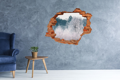 3D wall hole wallpaper Winter landscape behind the hole in the wall