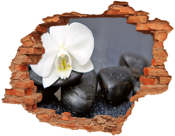 Hole in the wall sticker Flowers and stones in the spa