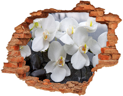 Hole in the wall decal Orchid flowers in water