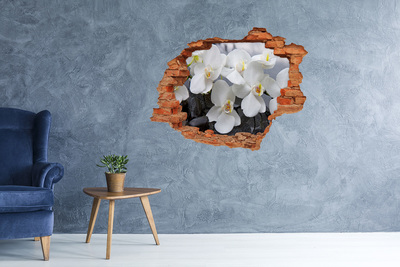 Hole in the wall decal Orchid flowers in water