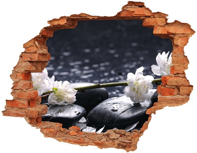 Hole in the wall decal Flowers on stones