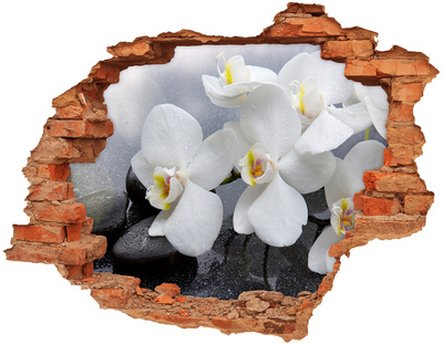 Hole in the wall decal Orchids in concrete