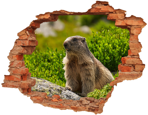 Hole in the wall sticker Marmot in the wild