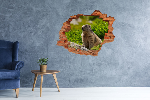Hole in the wall sticker Marmot in the wild