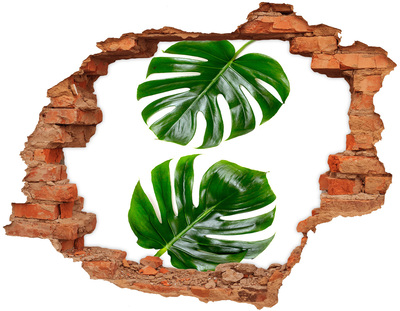 Hole wall sticker Green leaves in a hole in the wall