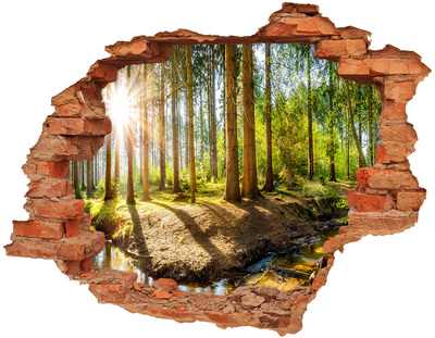 Hole in the wall decal Panorama of the forest