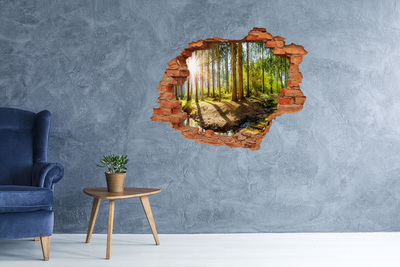 Hole in the wall decal Panorama of the forest