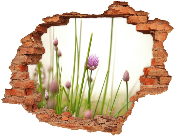 Hole in the wall sticker Flower garden through a hole in the wall