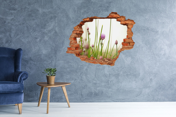 Hole in the wall sticker Flower garden through a hole in the wall