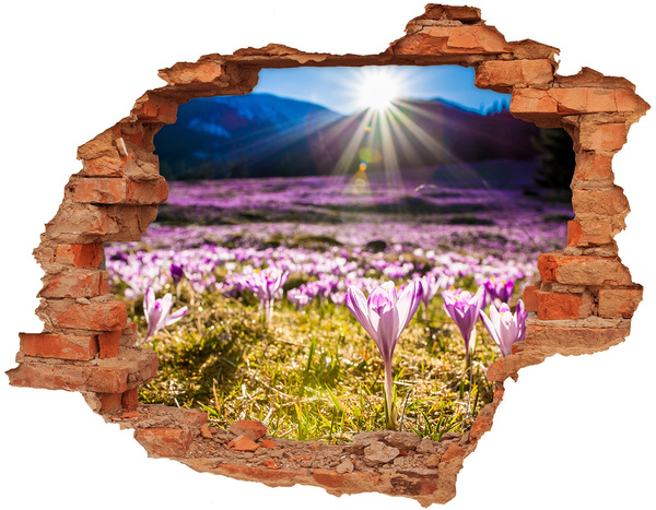 Hole in the wall decal A flower field in the sunshine