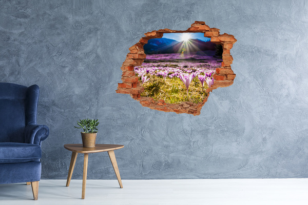 Hole in the wall decal A flower field in the sunshine