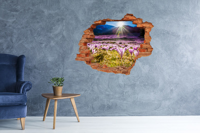 Hole in the wall decal A flower field in the sunshine