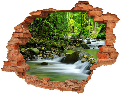 Hole wall sticker Waterfall in the tropical forest