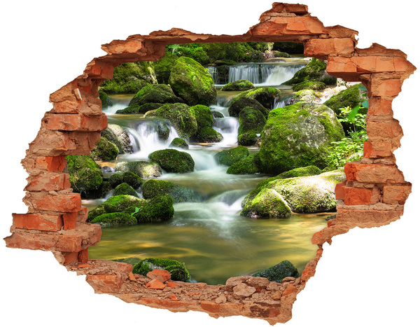 Hole wall sticker Waterfall in the green forest