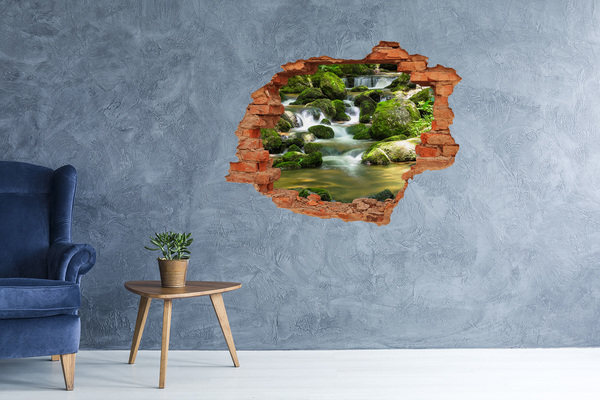 Hole wall sticker Waterfall in the green forest