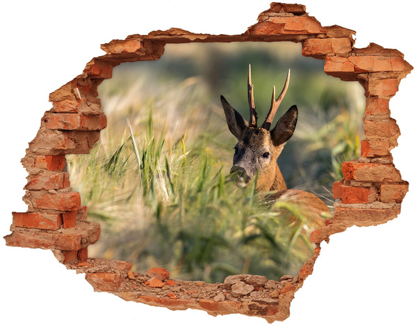 Hole in the wall decal Roe deer in a forest landscape