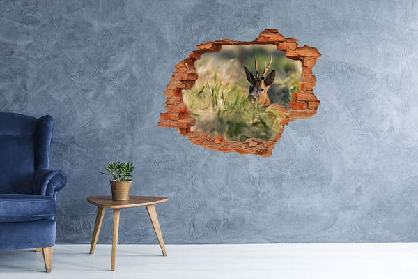 Hole in the wall decal Roe deer in a forest landscape