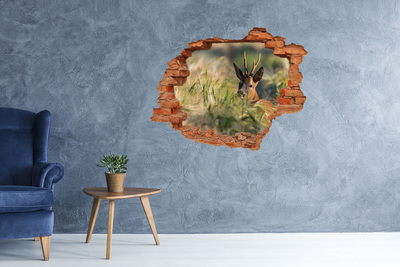 Hole in the wall decal Roe deer in a forest landscape