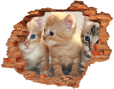 Hole in the wall sticker Kittens in a hole in the wall