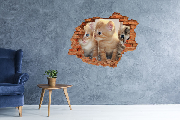 Hole in the wall sticker Kittens in a hole in the wall
