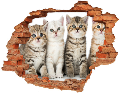 Hole in the wall decal The cat trio behind the hole in the wall