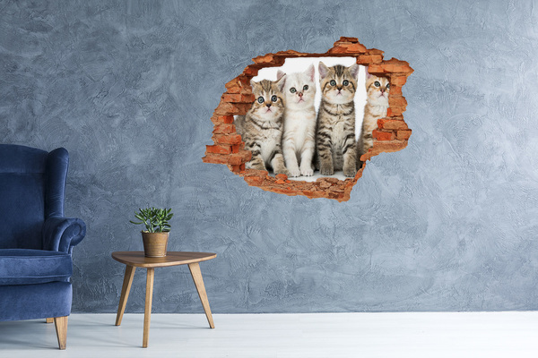 Hole in the wall decal The cat trio behind the hole in the wall