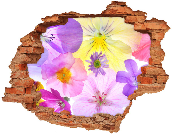 Hole in the wall decal Pansies