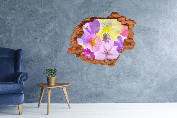 Hole in the wall decal Pansies