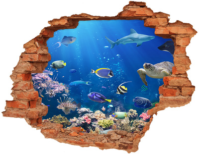 Hole in the wall sticker An underwater world full of fish