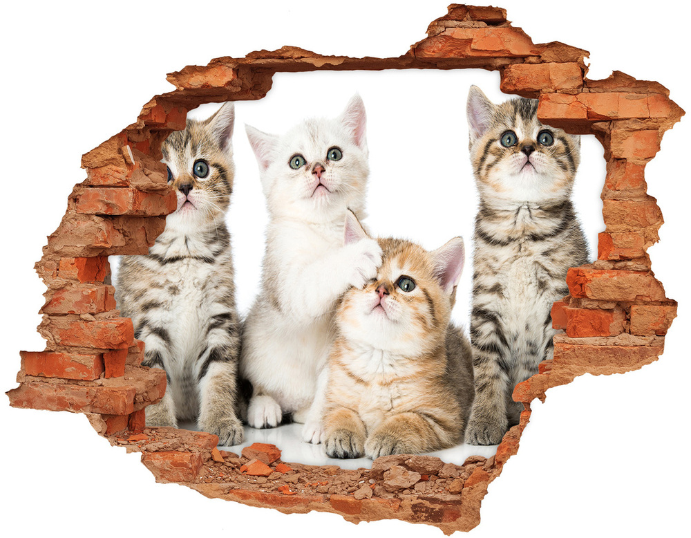 Hole in the wall decal Small cats sticker