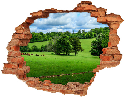 Hole in the wall sticker Green meadow with trees