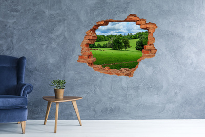Hole in the wall sticker Green meadow with trees