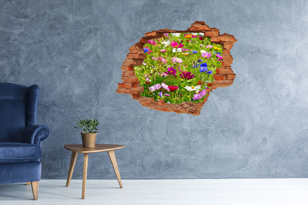 Hole wall sticker A flower paradise behind the wall