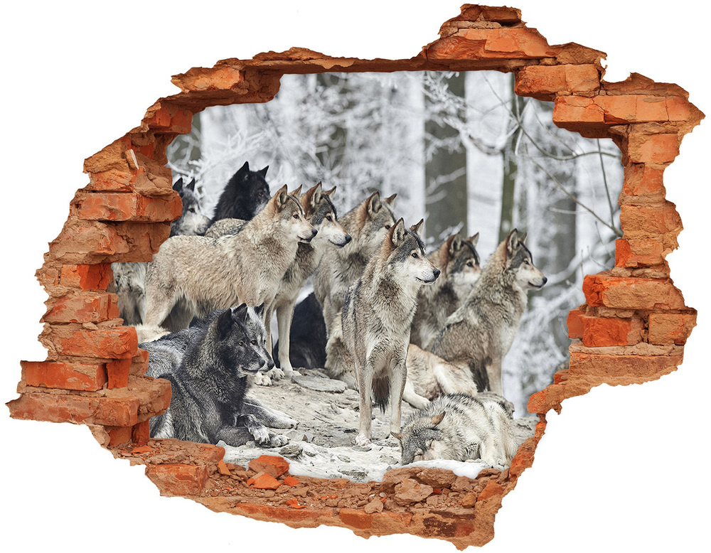 Hole wall sticker Wolves sticker in winter